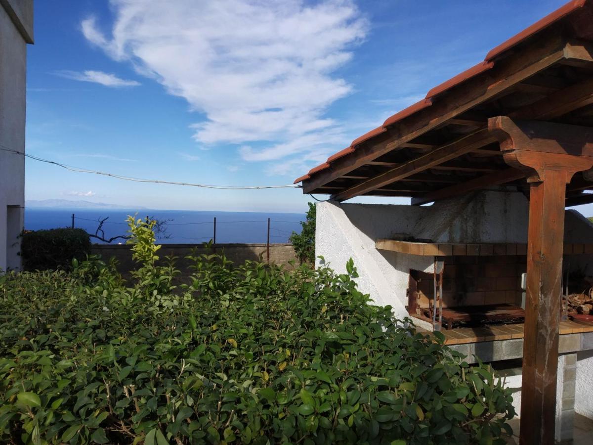 Ellina'S Home - Euboea Island Greece Oxilithos Екстер'єр фото