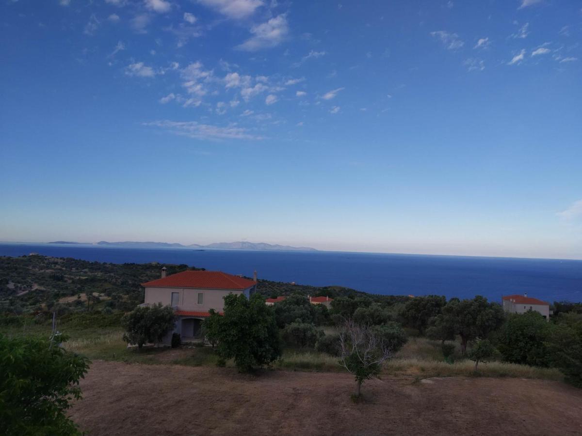 Ellina'S Home - Euboea Island Greece Oxilithos Екстер'єр фото