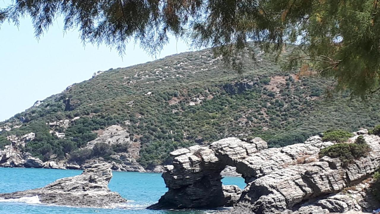Ellina'S Home - Euboea Island Greece Oxilithos Екстер'єр фото