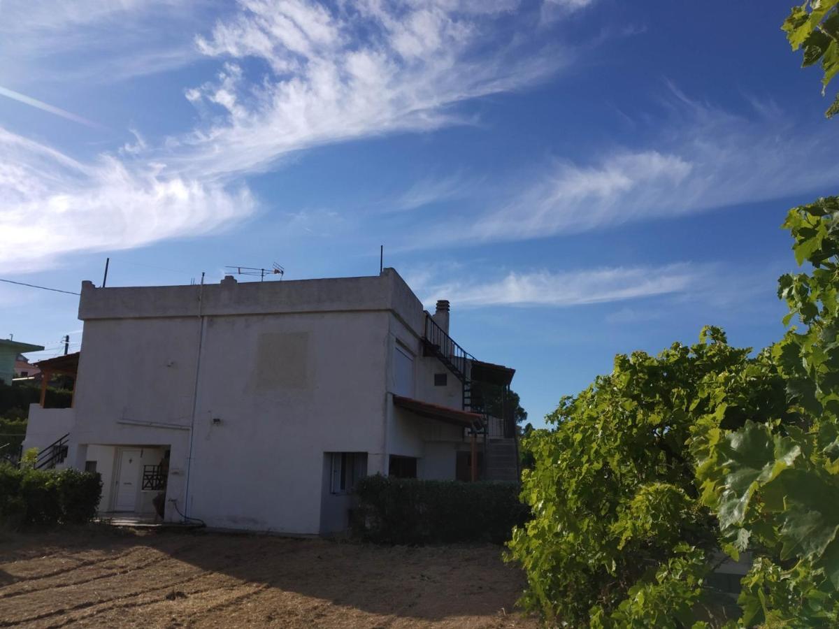Ellina'S Home - Euboea Island Greece Oxilithos Екстер'єр фото
