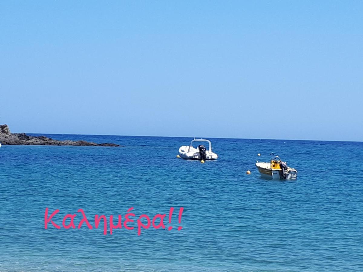 Ellina'S Home - Euboea Island Greece Oxilithos Екстер'єр фото