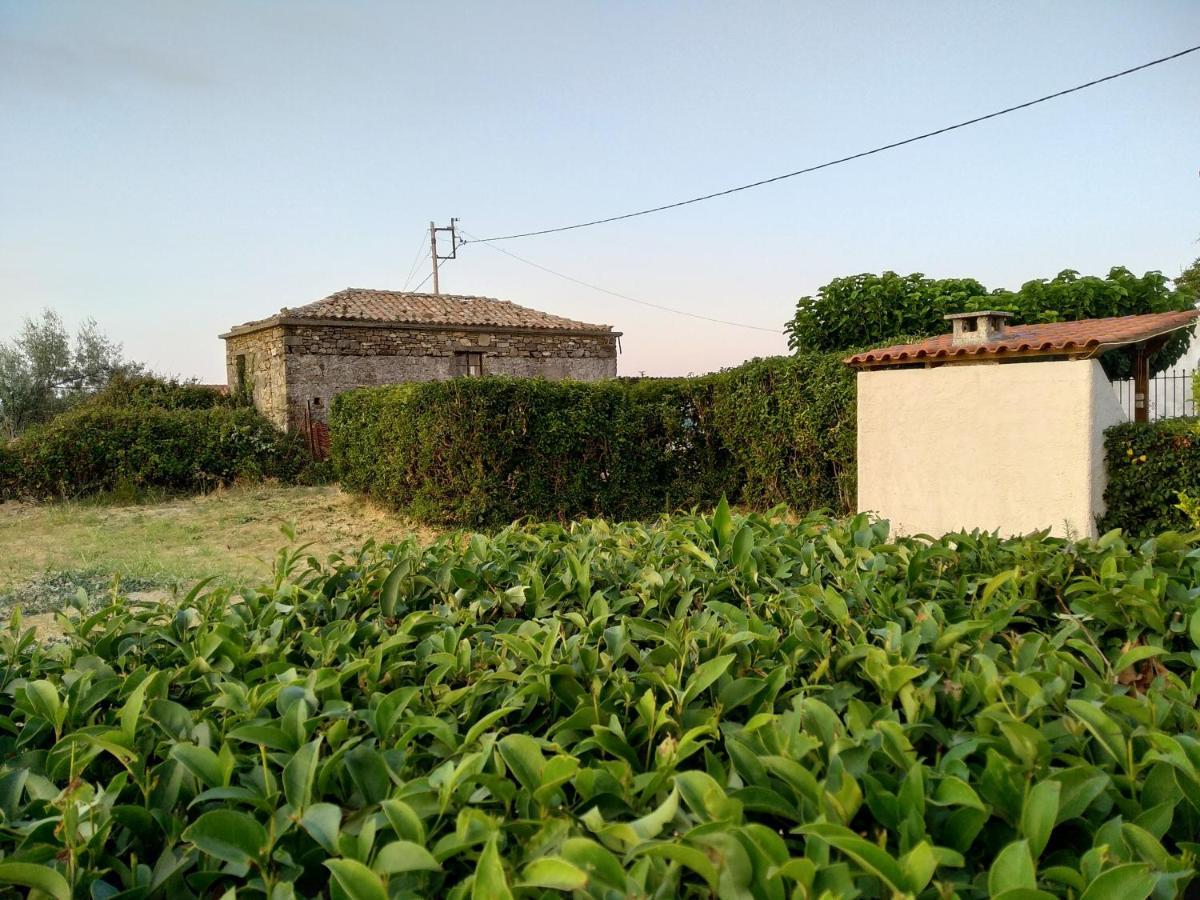 Ellina'S Home - Euboea Island Greece Oxilithos Екстер'єр фото